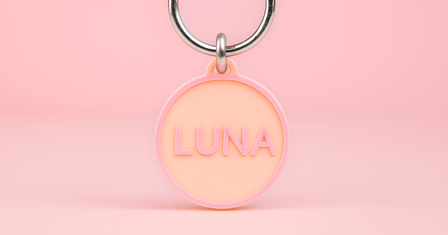 Placa perro personalizada - Imagen 1